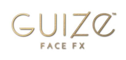 GuizeFaceFX